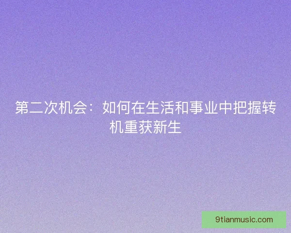 第二次机会:如何在生活和事业中把握转机重获新生 第二次机会:如何在生活和事业中把握转机重获新生