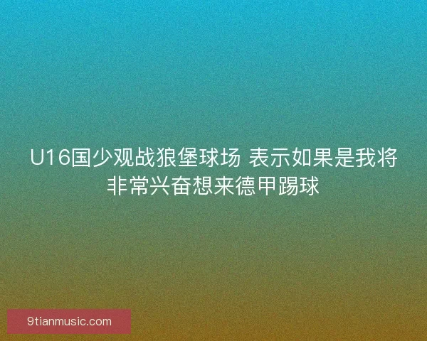 U16国少观战狼堡球场 表示如果是我将非常兴奋想来德甲踢球